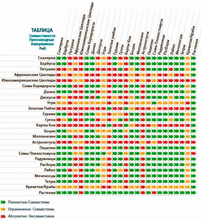 Tablitsa-sovmestimosti-ryb