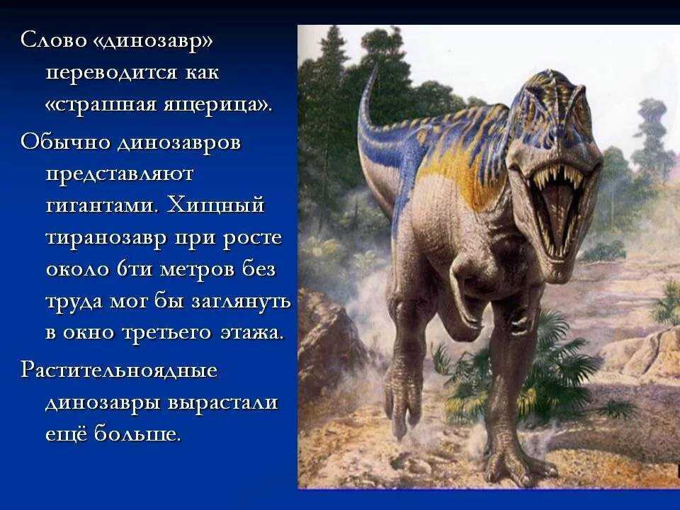 Слово динозавр означает страшный ящер. Проект про динозавров. Динозавры вымерли. Сообщение о динозаврах. Презентация на тему динозавры.