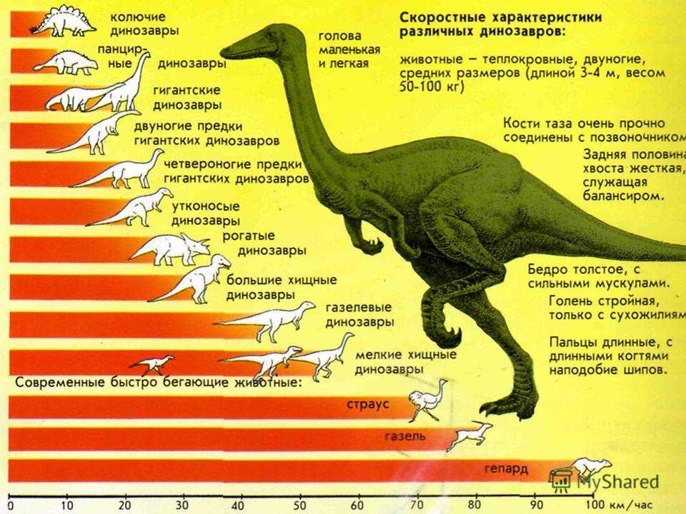 Отметь на схеме промежуток времени в течение которого на земле обитали динозавры