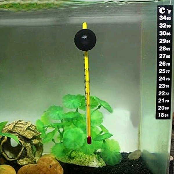 Черепаха температура воды в аквариуме