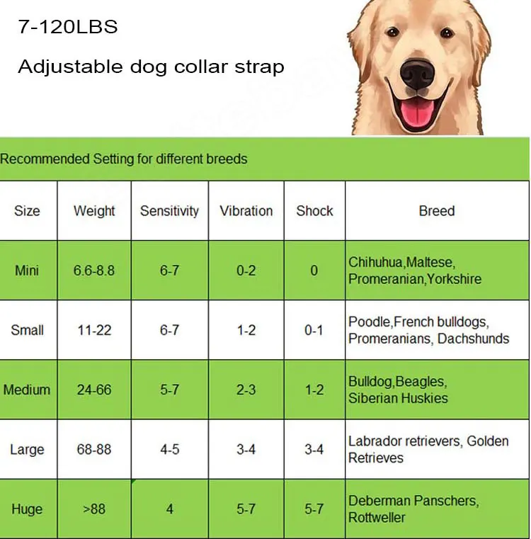 Золотистый ретривер вес. Лабрадор ретривер параметры взрослой собаки. Таблица размеров для собак Голден. Размеры золотистого ретривера взрослого. Размер и вес щенка Голден ретривера.