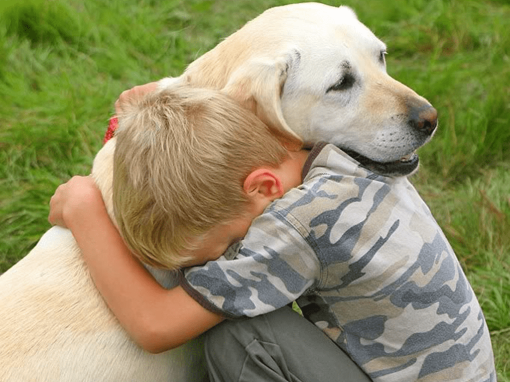 Собакам бывает стыдно. Собака друг. Любовь к животным. Дети и животные Дружба. Любовь детей к животным.