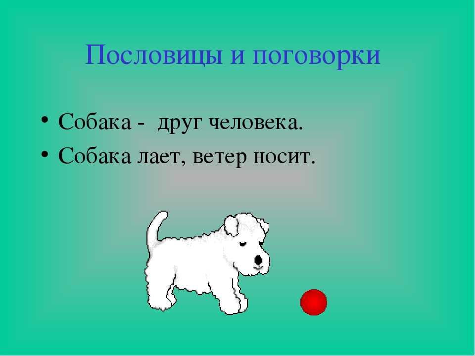 Значение пословицы собака друг человека