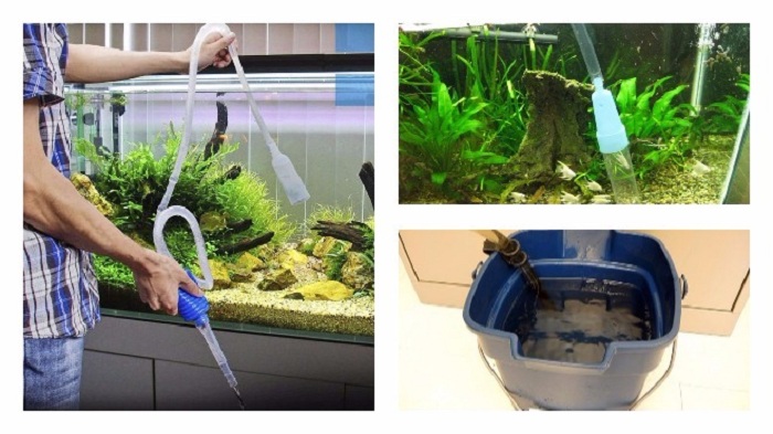 Как делать подмену воды в аквариуме