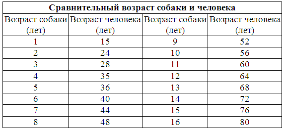 Собачий возраст. Сравнение возраста собаки и человека таблица. Возраст собак на человеческий. Возраст собак на человеческий Возраст. Сопоставление возраста собаки и человека.