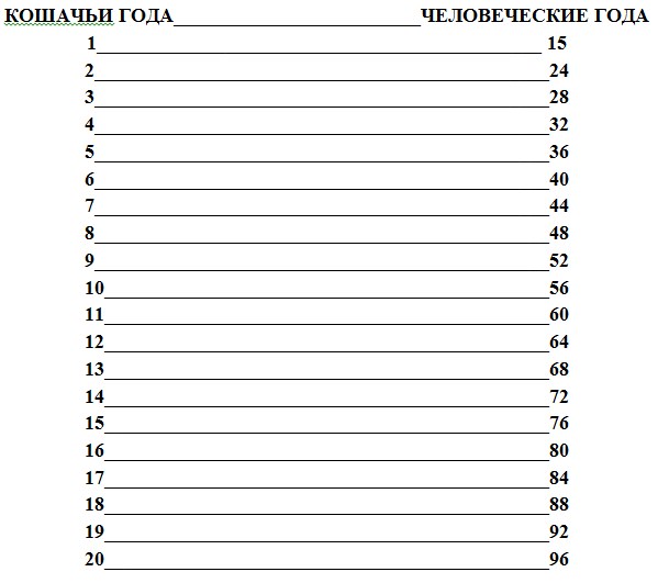 3 года по человечески