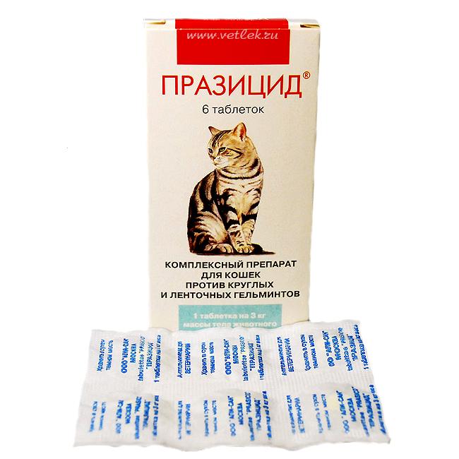 Празицид отзывы для кошек. Празицид таблетки для кошек. Фелинология корма для кошек. Корнам для лечения кошек. Фелинология рис.