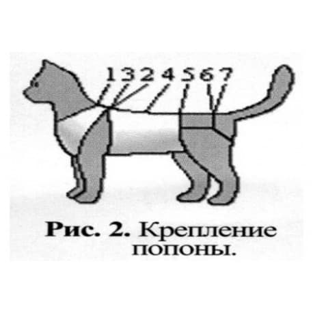 Попона для кошки как завязывать схема