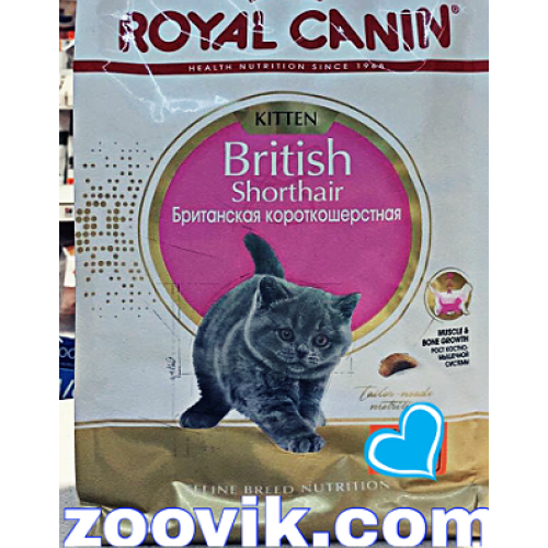 Какой корм лучше для шотландских кошек. Корм Royal Canin для шотландских кошек. Роял Канин для шотландских котят. Royal Canin для шотландских котят. Royal Canin для шотландских вислоухих кошек.