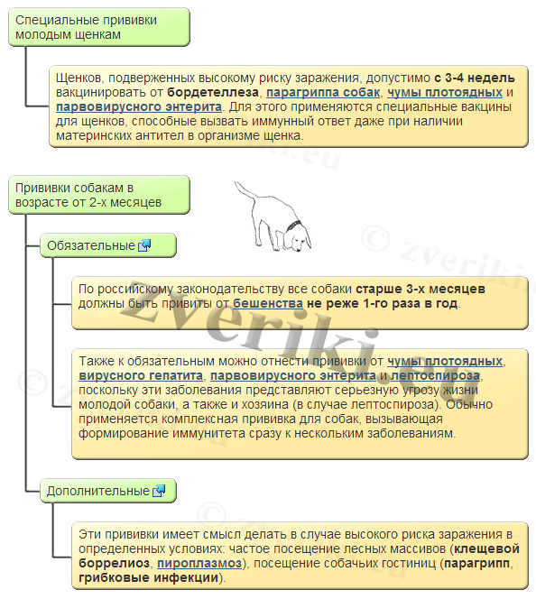 Какие прививки делают собакам