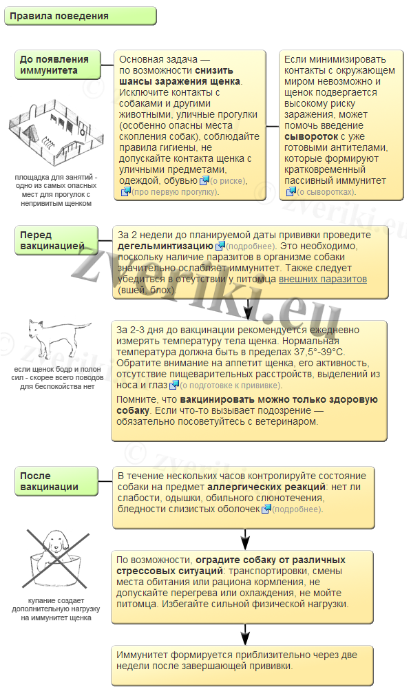 План прививок для собак с рождения