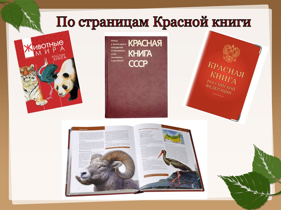 Красная книга картинка для детей картинка