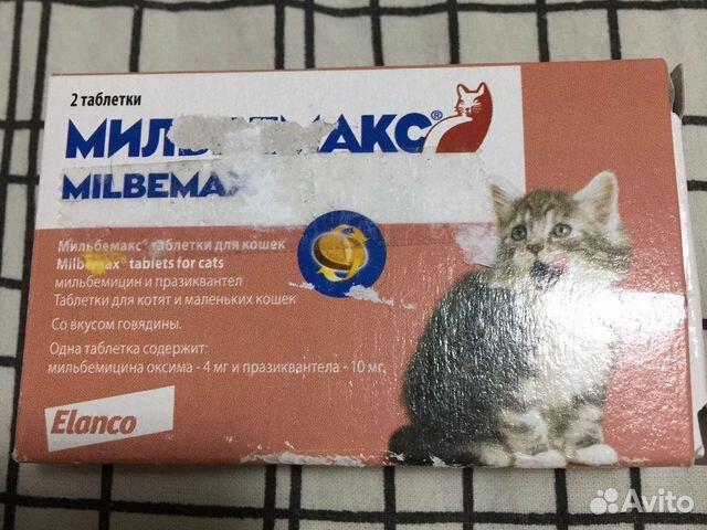 Elanco мильбемакс для котят и молодых кошек