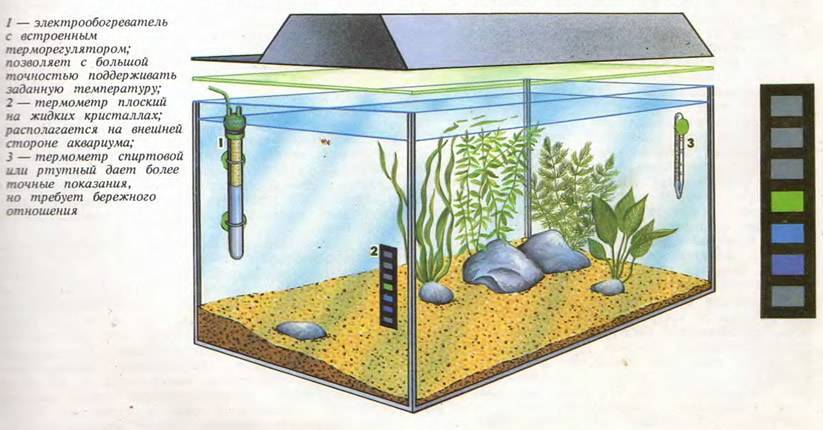 Аквариум подмена воды сколько. Оснащение аквариума для рыб. Температура в аквариуме для рыбок. Расположение оборудования в аквариуме. Расстановка в аквариуме.
