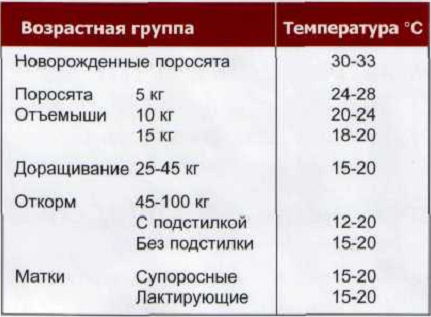 Какая температура у кошек. Оптимальная температура для выращивания свиней. Температура тела свиньи. Температурный режим выращивания поросят.