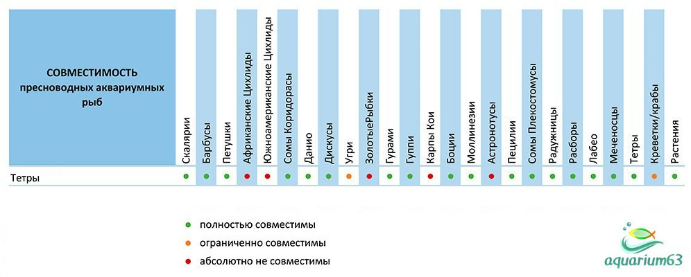 Тернеция совместимость с другими. Таблица совместимости креветок с другими рыбами аквариумными. Совместимость креветок с рыбками в аквариуме. Креветки для аквариума совместимость с рыбами. Совместимость креветок вишен с рыбками.