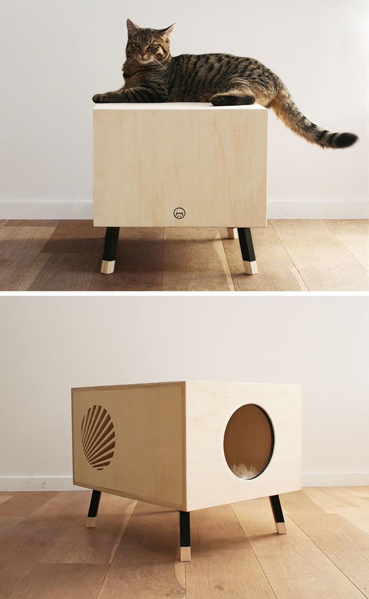 мебель для кошек от дизайнеров
