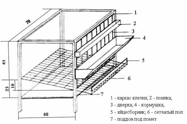 Клетка для перепелов своими руками чертежи и фото бесплатно на 10 голов