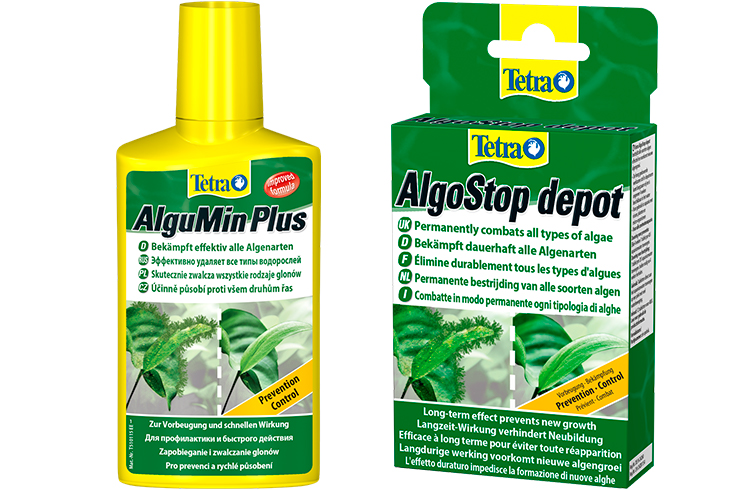 Tetra AlguMin и Tetra AlgoStop depot помогут в борьбе с нитчатыми водорослями