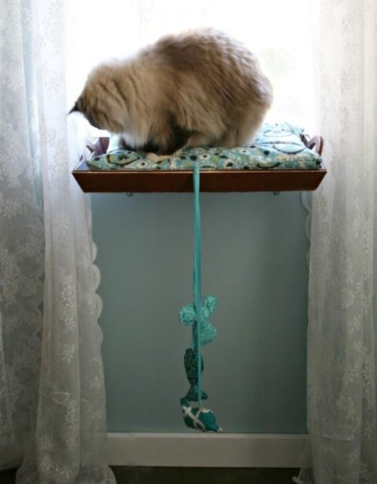 Полезные лайфхаки для хозяев кошек (29 фото)