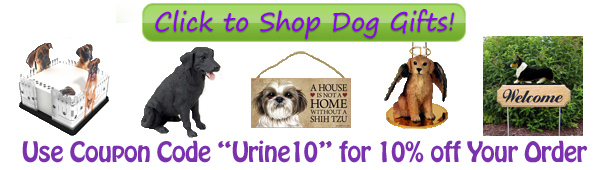 Dog Urine Color Banner