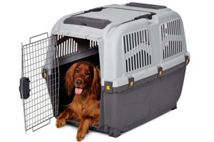 контейнер для животных