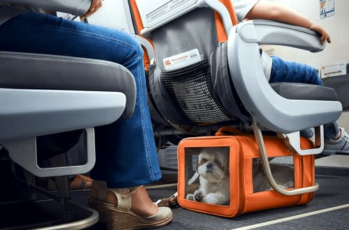 на борту самолета