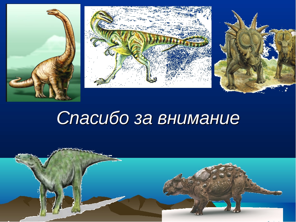 Когда жили динозавры видеоурок. Спасибо за внимание динозавры. Динозавры презентация. Презентация на тему динозавры. Тема динозавры.