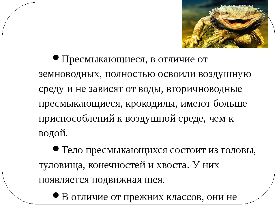 Пресмыкающимся в отличие от земноводных свойственно