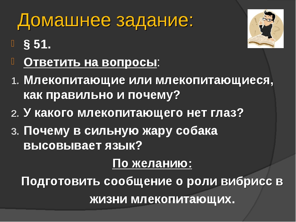 Вопросы по млекопитающим 7 класс. Вопросы на тему млекопитающие. Вопросы по теме млекопитающие 7. Вопросы по млекопитающим. Млекопитающие или млекопитающиеся как правильно и почему.