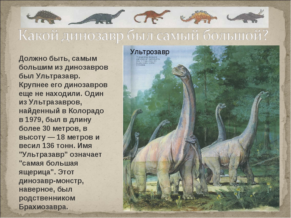 Опиши динозавра. Какие были динозавры. Информация о динозаврах. Самый большой динозавр. Статья про динозавров.