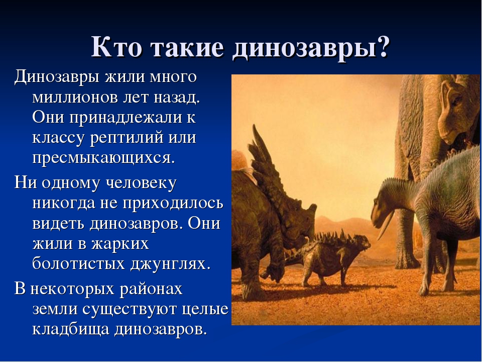 Сообщение о динозаврах 1 класс окружающий мир. Сообщение о динозаврах. Доклад про динозавров. Презентация на тему динозавры. Динозавры презентация для детей.