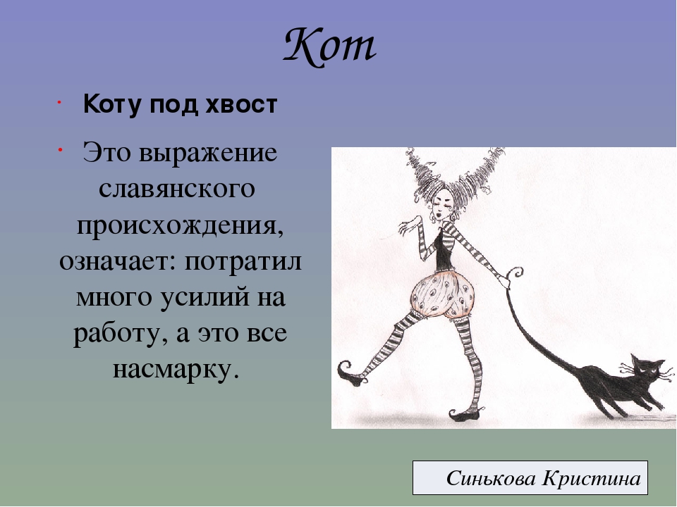 Тянуть хвоста за хвост фразеологизм. Коту под хвост значение фразеологизма. Коту под хвост фразеологизм. Коту под хвост происхождение фразеологизма.