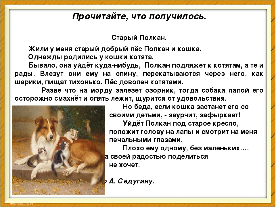 2 собаки рассказ. Старый пес Полкан. Рассказ о кошках и собаках. Жил у меня старый добрый пес Полкан и кошка жила. Сказка про кошку и собаку.