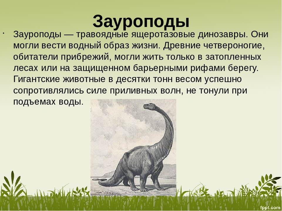 Опиши динозавра. Травоядные динозавры Ящеротазовые. Интересные факты о вымерших динозавров. Динозавры травоядные вымерли. Древние животные описание.