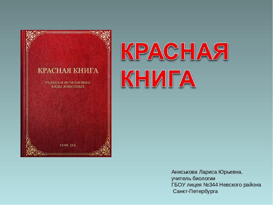 Красная Книга Купить В Спб