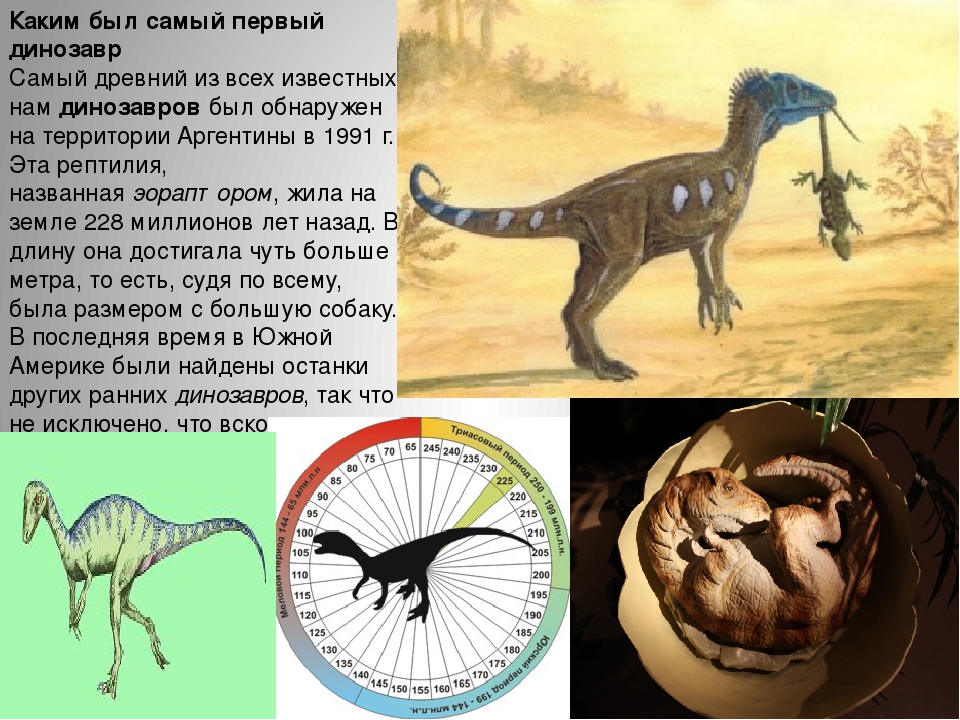 Отметь на схеме промежуток времени в течение которого на земле обитали динозавры