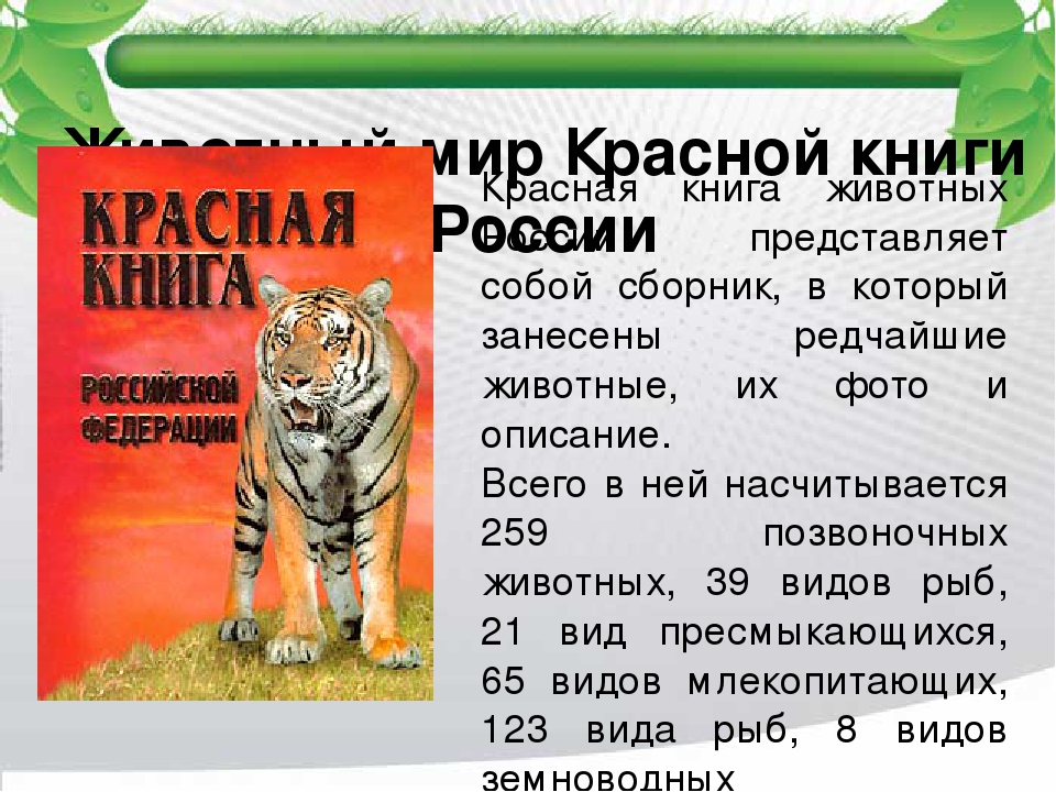 Красная книга россии животные и фото и описание