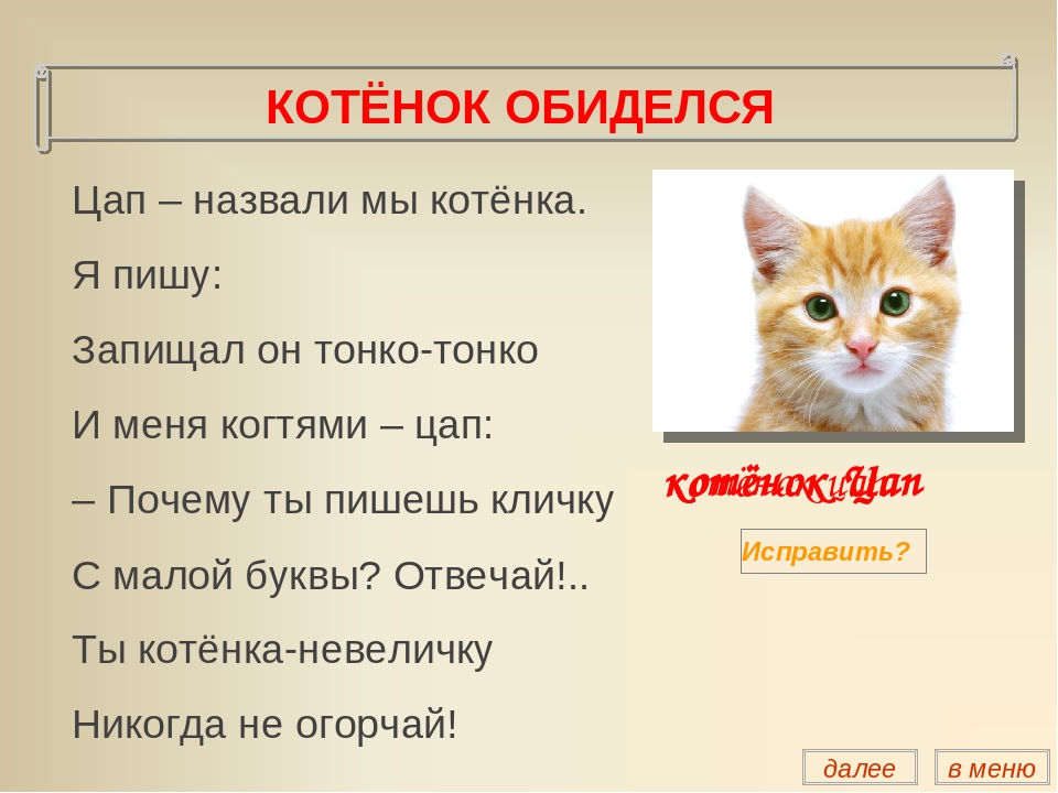 Как назвать кота на букву м. Как назвать котенка. Клички для котят. Назвать котенка девочку.