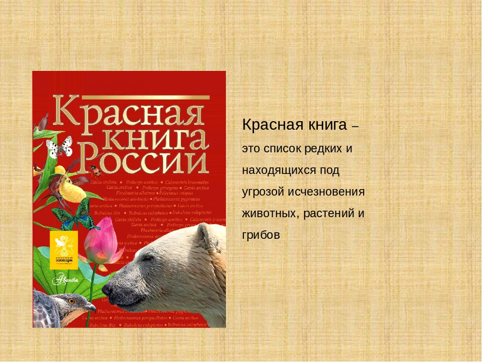 Твоя красная книга. Красная книга России. Красная книга России презентация. Красная книга книга. Красная книга обложка.