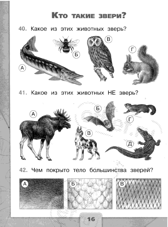 Тесты животные картинки