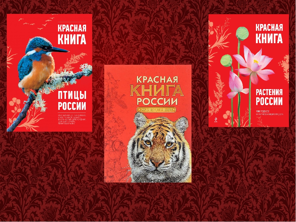 Картина красной книги. Красная книга. Красная книга животные обложка. Красная книга обложка для проекта. Красная книга 2001.