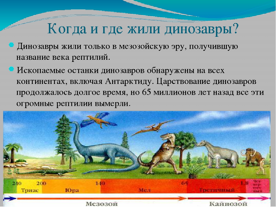 Появление динозавров эра. Периоды обитания динозавров. Где жили динозавры на земле. Динозавры периоды существования. Периоды когда жили динозавры.