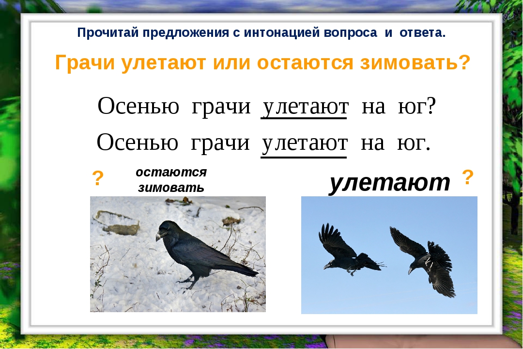 Грачи цифра 2. Грачи улетели. Грачи улетают на Юг. Улетает ли ворона на Юг зимой. Ворон улетает на Юг или нет.