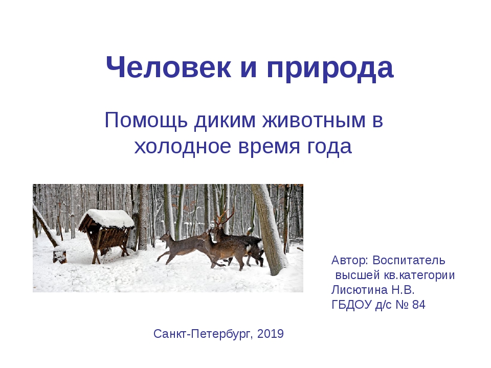 Статья как помочь животным в зимнее время. Помощь животным в зимнее время. Как люди помогают животным. Как спасти животных зимой. Охрана животных зимой.