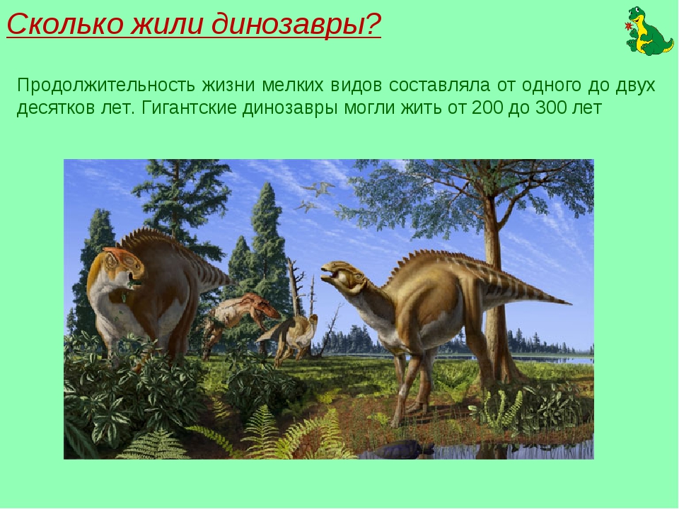 Где период. Продолжительность жизни динозавров. Сколько лет жили аламозавры.. Динозавры жили. Средняя Продолжительность жизни динозавров.