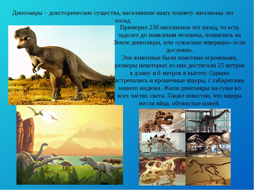 На какой территории жили динозавры. Место обитания динозавров на земле. Динозавры которые жили на территории России. Где жили динозавры на земле. Динозавры обитавшие на территории России.