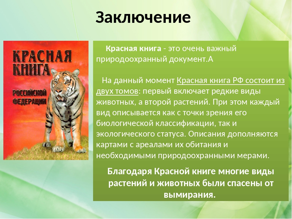 Тема красная книга. Проект красная книга. Красная книга России. Проект красная книга России. Проект красивая книга России.