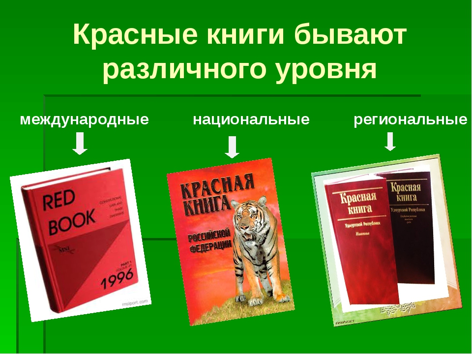 Виды красной книги. Международная красная книга. Красные книги различных уровней. Международные национальные и региональные красные книги. Какие бывают красные книги.