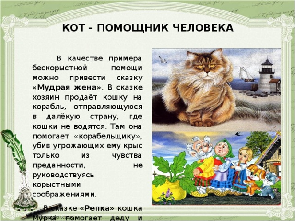 Сказки про котят для детей. Образ кота в сказках. Сказка про кота. Сказка про кошечку. Сказки про котов и кошек.